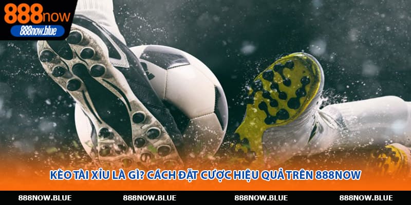 Kèo Tài Xỉu Là Gì? Cách Đặt Cược Hiệu Quả Trên 888Now