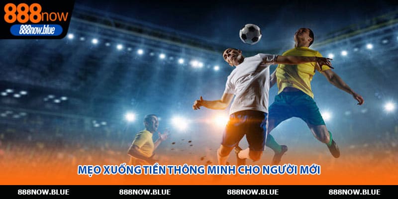 Mẹo xuống tiền thông minh cho người mới